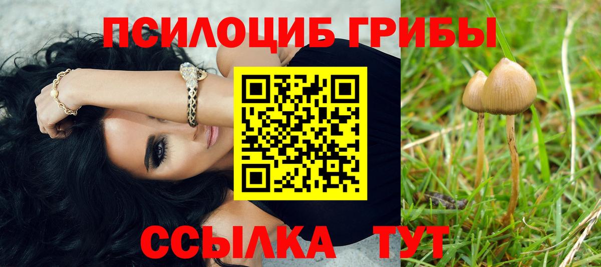 Чернушка  Галлюциногенные грибы мицелий  Вход с VPN 