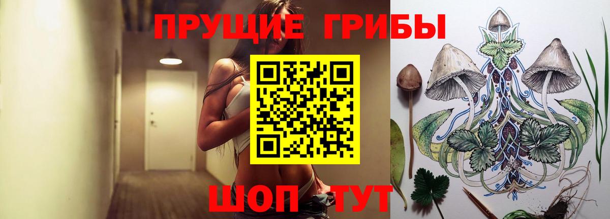 Галлюциногенные грибы Cubensis Чернушка